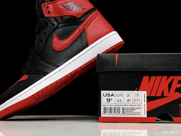 Kick Theory Air Retro 861428-061 OG 1 To Home Jordan High Homage 0810